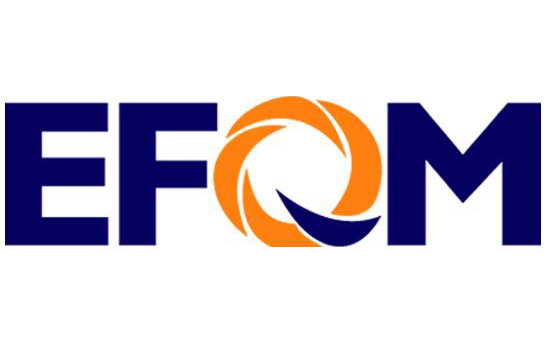 تعالی سازمانی EFQM